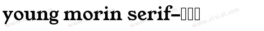 young morin serif字体转换
